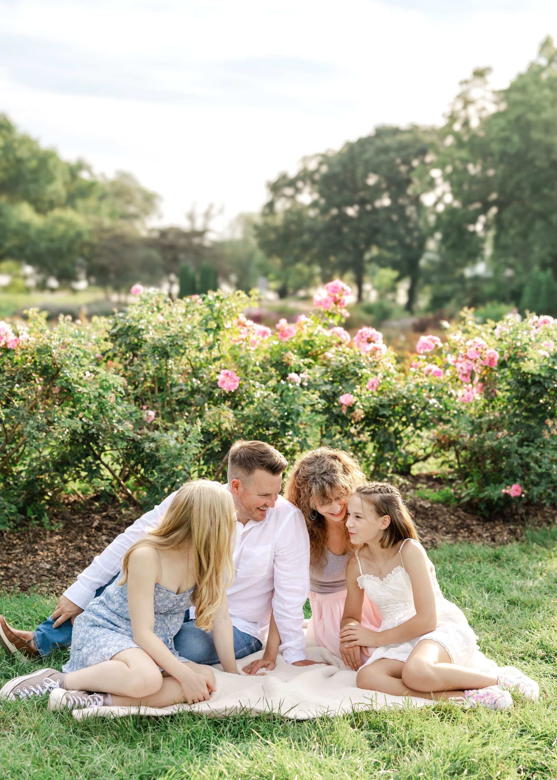 family of 4 sit on a blanket in front of pink roses at lyndale park rose garden for their minneapolis family photos