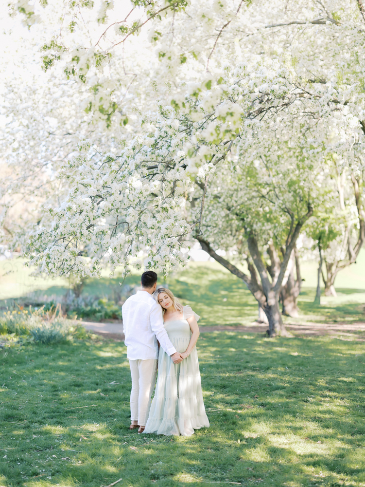 Husband and wife hold hands under large white apple blossoms during their minneapolis maternity photography session