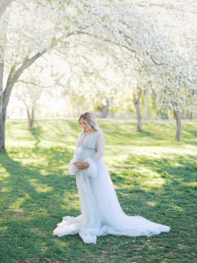 woman in light blue tulle maternity gown looks down at her pregnant belly under a huge apple blossom tree during her minneapolis maternity photoshoot 