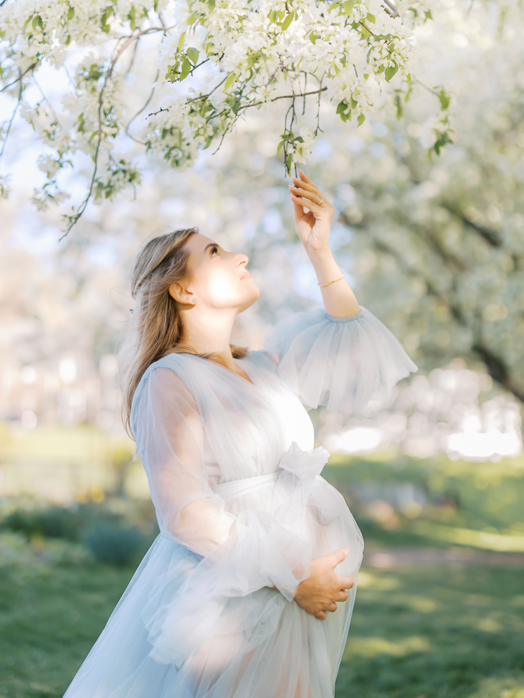 pregnant woman wearing light blue tulle maternity gown reaches up for the white apple blossoms during her minneapolis maternity photography session with angela watts photography