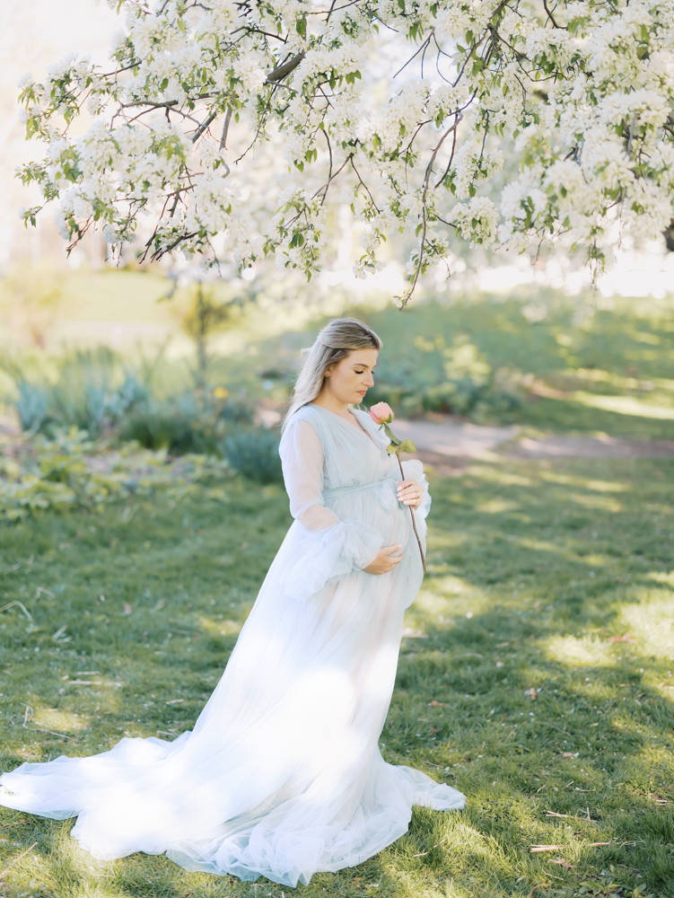 Pregnant woman wearing blue tulle maternity gown smells a pink rose under the white apple blossoms during her minneapolis maternity photography session