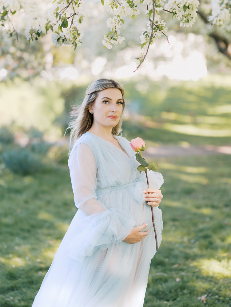 woman wearing light blue tulle maternity gown stands under white apple blossoms and smells a pink rose during her minneapolis maternity photoshoot