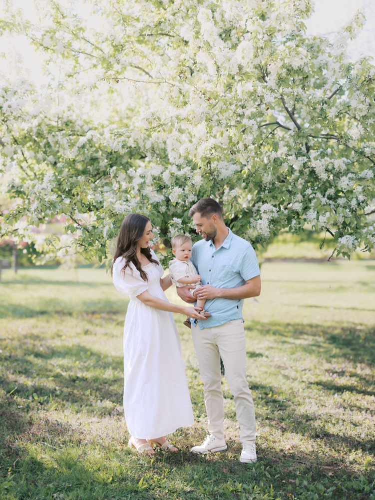 mom dad and 14 month old son stand in front of huge white apple blossoms at lyndale park gardens for their minneapolis family photography session